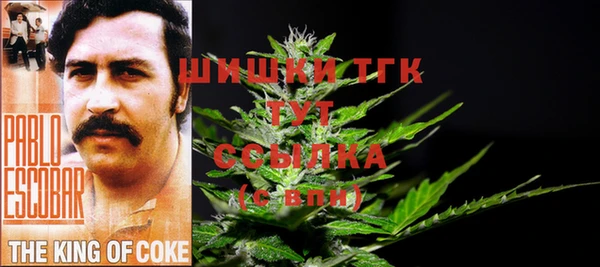 гидропоника Алзамай