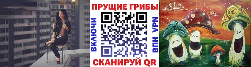 мега ONION  Клин  Галлюциногенные грибы Psilocybe 