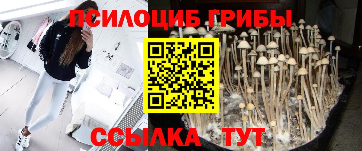Галлюциногенные грибы MAGIC MUSHROOMS Клин